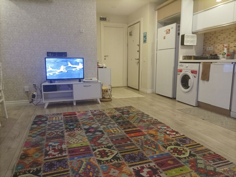 Home 