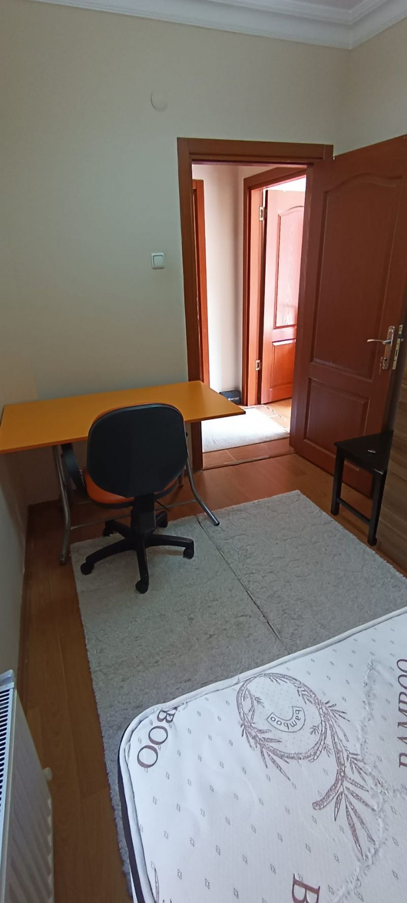 Kadın ev ve oda arkadaşı