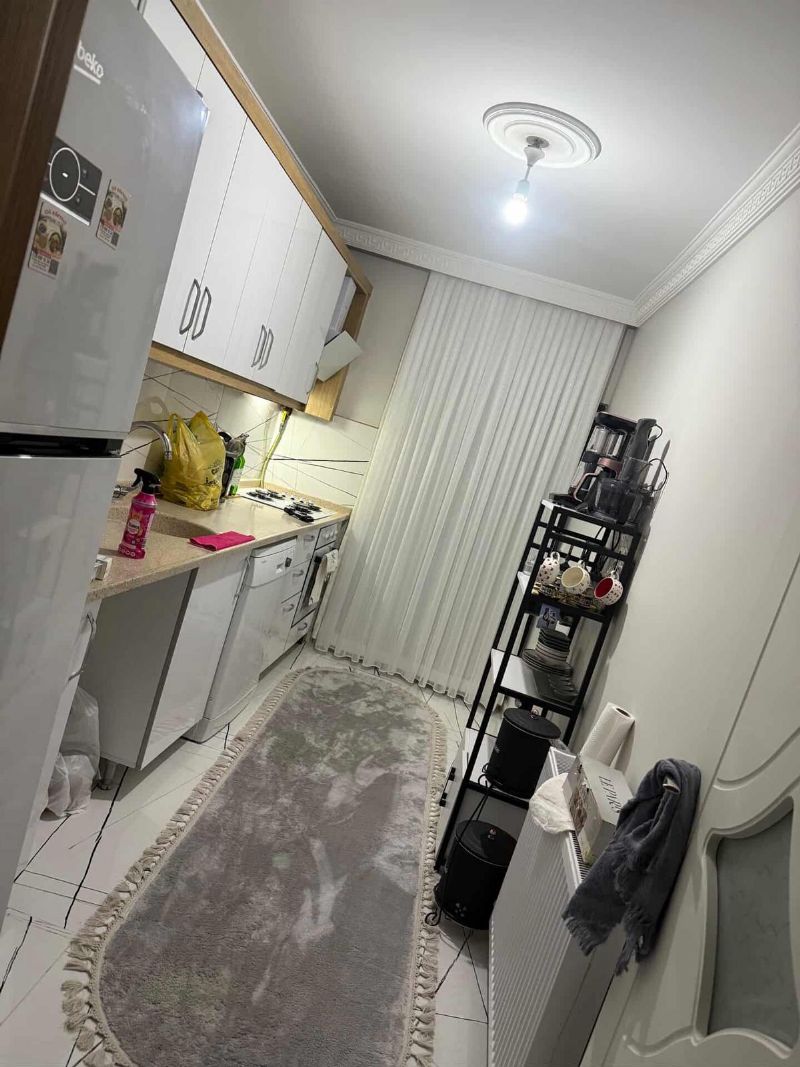 Ev arkadası arıyorum